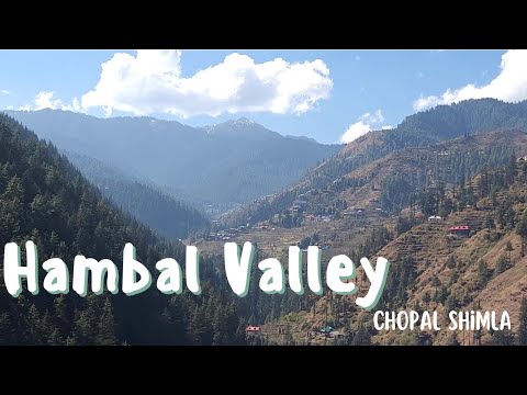 Himachal Village Life - Hambal Valley Chopal - Chopal to Sarain Trip @apnahimachaltv
