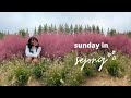 a chill autumn sunday in sejong south korea🇰🇷 // black woman solo living in korea VLOG