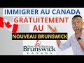 🛑 INCROYABLE ! NOUVEAU PROGRAMME GRATUIT POUR IMMIGRER AU CANADA AVEC UN VISA RÉSIDENCE PERMANENTE