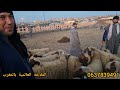 اليوم خير مجود في سوق تلات بنكرير 5 5 2026