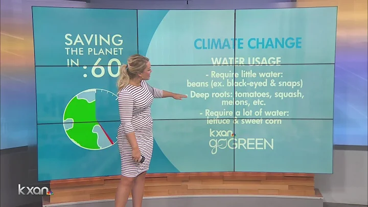 What plants should you grow to conserve water