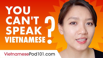 If You Understand Vietnamese But Can