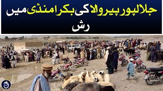 Rush in goat market in Jalalpur Pirwala - Eid ul Adha 2023 - Aaj News