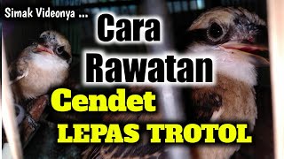 Rawatan Harian Cendet Lepas Trotol 2021