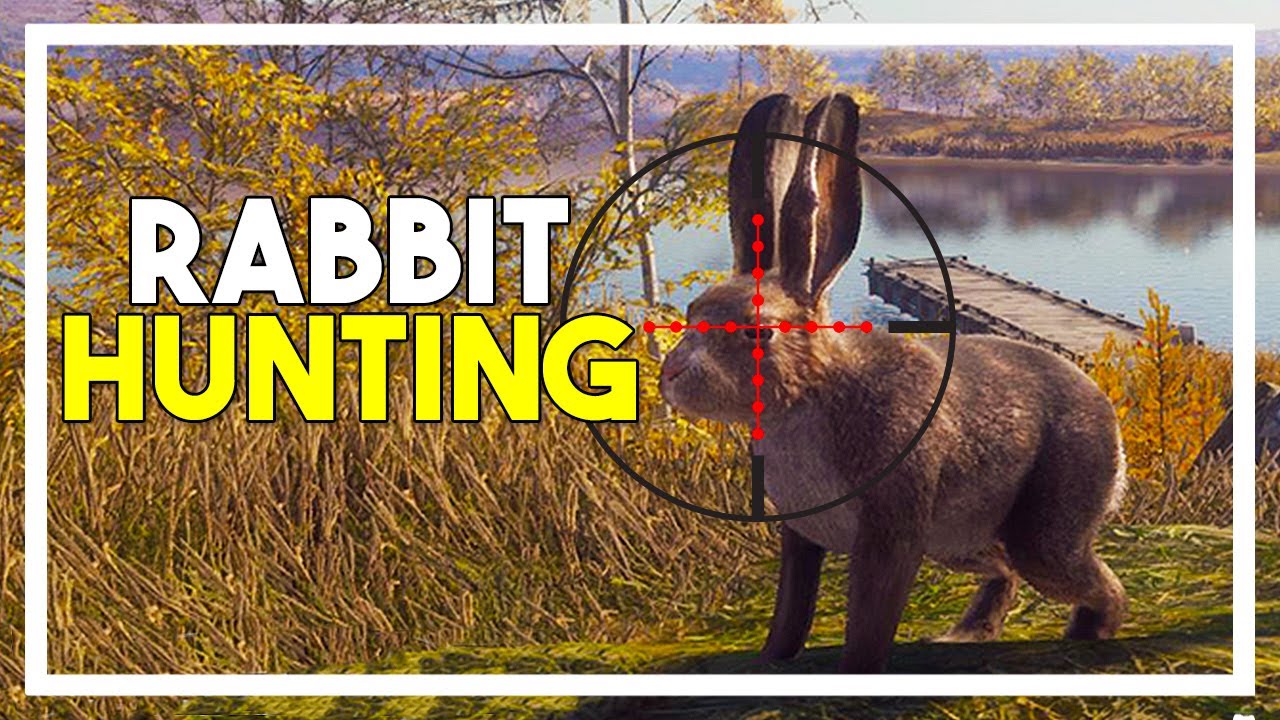 *NEW* Rabbit Hunting Update & 22 Sporter Rifles! the Hunter Call of