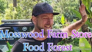Amazing North Central Florida Food Forest!
