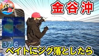 Tokyo Bay] I had a great time fishing for fish using SLJ (Super