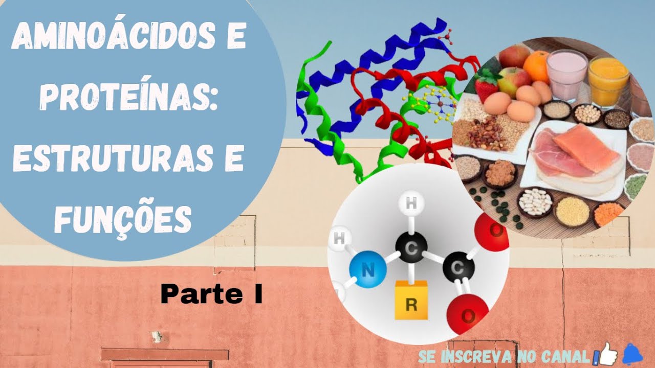 Estrutura e função das proteínas #1 - Aminoácidos (reedição) - YouTube