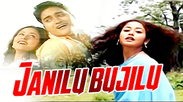 JANILU BUJILU | LAJUKI MON | ASSAMESE VIDEO SONG | ZUBEEN GARG | PAL PHUKON