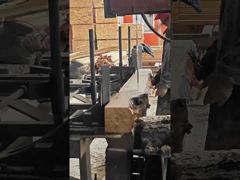 #woodcut #carpentry #woodcuting #cuttingwood #cutting #wood #woodworking #woodtools #furniture