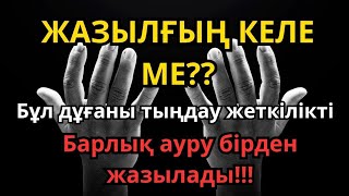 : 100% !!      !! |   