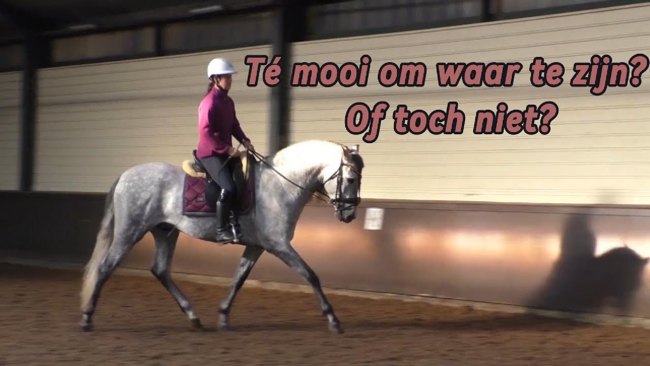 Té mooi om waar te zijn en toch is het zo! - YouTube