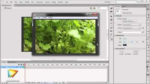Video2brain - Adobe Flash Professional CS6