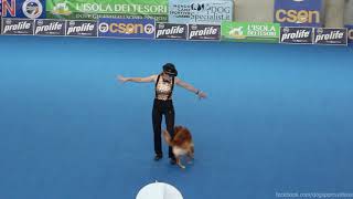 OEC2019 Sandra Roth & Boogie - Heelwork to Music WINNER by DogSports Cz 3 years ago 4 minutes, 31 seconds 11,071 views