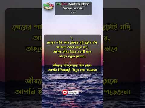 ভিডিও: একটি অন্য মূল্যবান