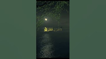 قال رب إنى ظلمت نفسى بصوت محمد صديق المنشاوي #سوره _القصص #محمد_صديق_المنشاوي #قرآن_كريم