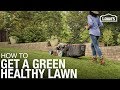 Lawn Care 101: How to Weed, Seed, Feed, Mow, & Water