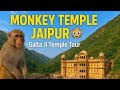 Monkey Temple Jaipur 🐒 | Galta Ji Temple Tour | Must Visit Hidden Gem! 