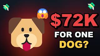 The Real Cost of Owning a Dog (Full Lifetime Breakdown)