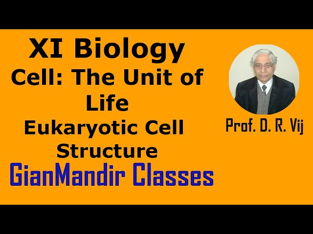 XI Biology | Cell: The Unit of Life | Eukaryotic Cell  Structure by Taranjeet Sir