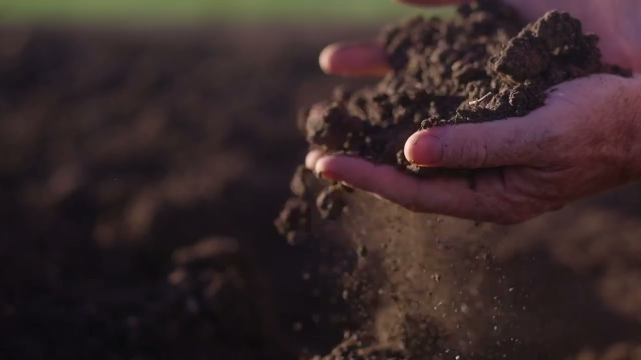 Elders Tamworth Rural | Warragundi West, Currabubula, Liverpool Plains,  NSW