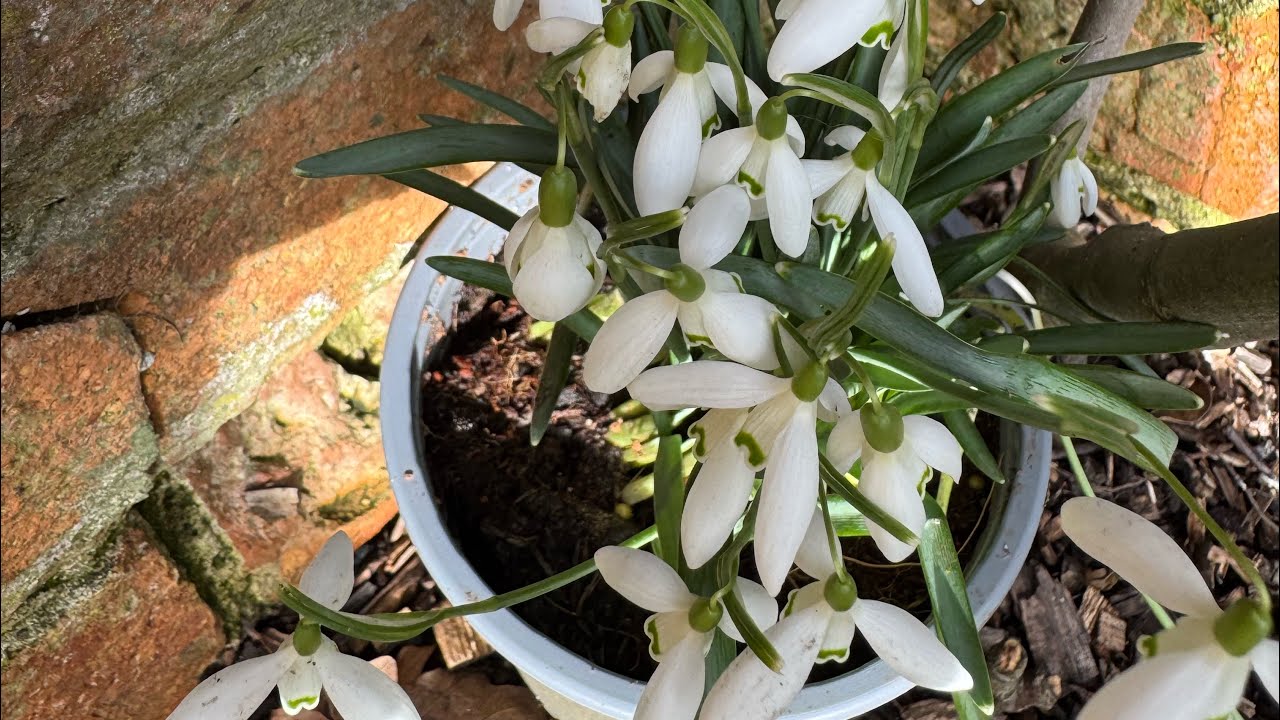 A very productive morning preparing the beds😃