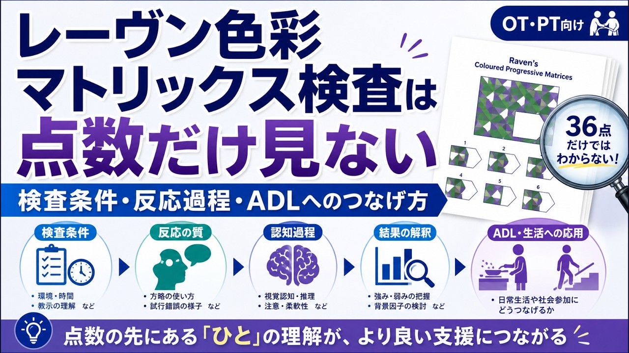 レーブン 色彩 マトリックス 検査