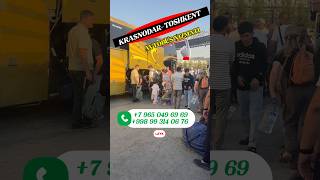 Krasnodar Toshkent avtobus,Краснодар Худжанд автобус,Ростов Ташкент автобус,Саратов Ташкент автобус