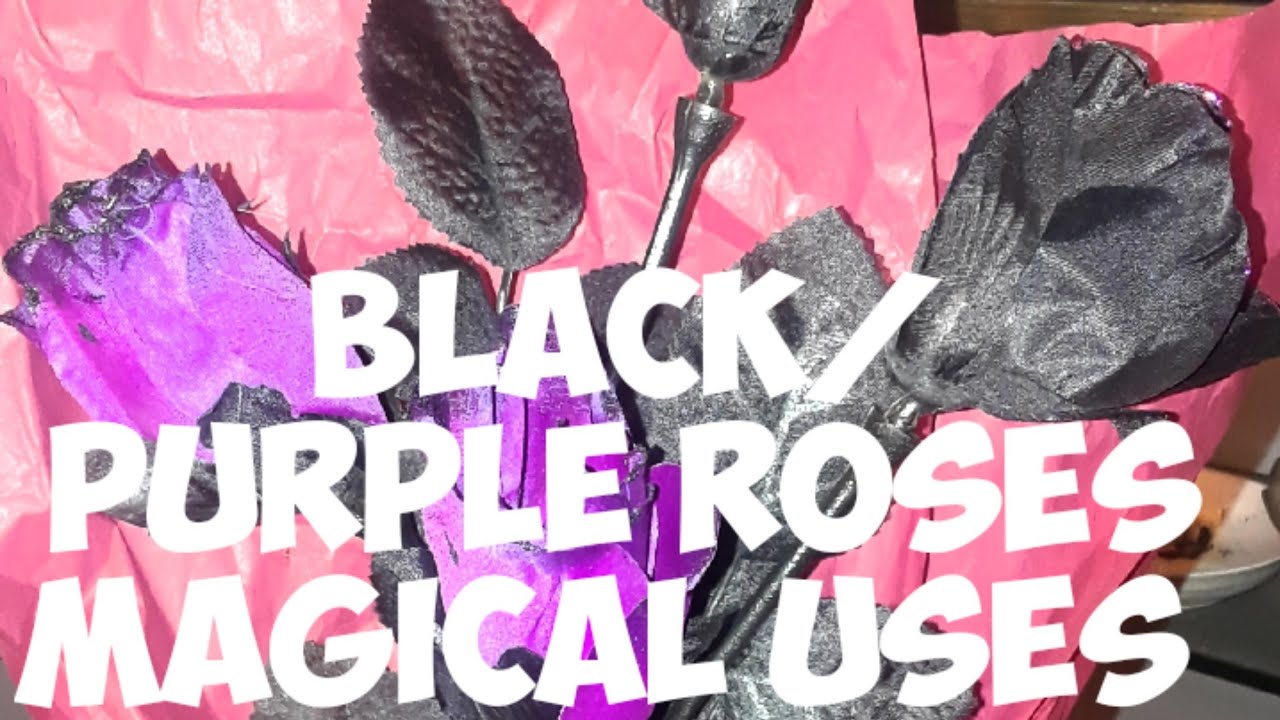 Black Roses! Meaning of Black Roses. YouTube