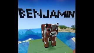 Benjamin Tutorial - Minecraft
