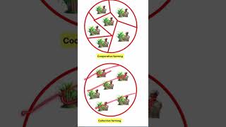 Collective farming vs Cooperative Farming Difference #shortsfeed #agriculture