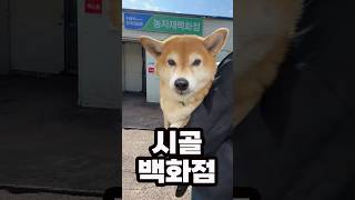 백화점에 가는 이유..!!