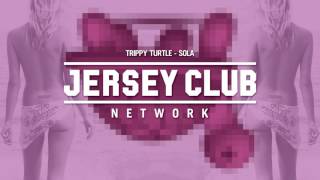 Trippy Turtle - Sola