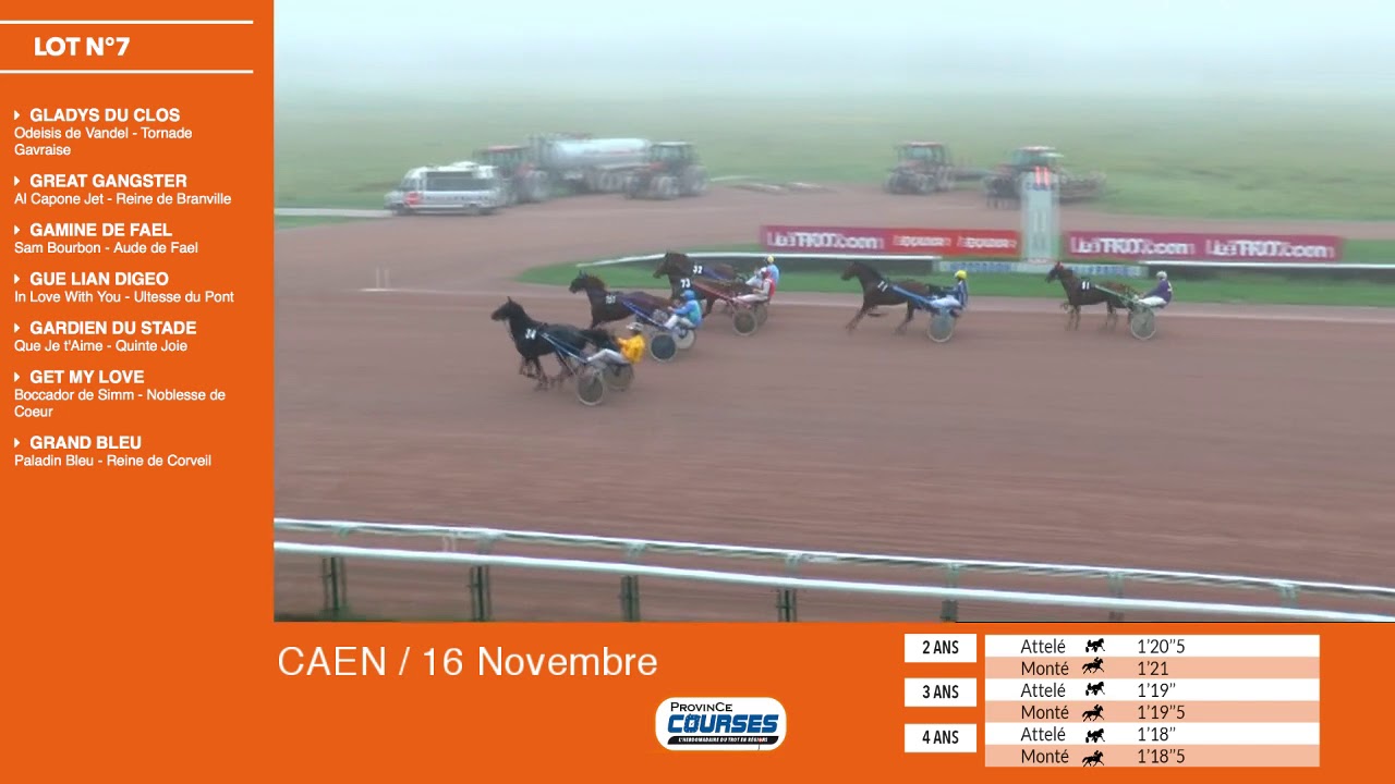 Qualifications Lot 7 - Caen 16 11 2018 qualifications tradução