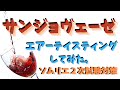【ソムリエ２次試験対策】サンジョヴェーゼをエアーテイスティングしてみた。