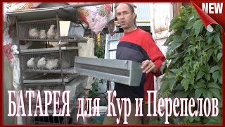 Клетка для Кур Несушек и Перепелов своими руками, ГОД СПУСТЯ!!!