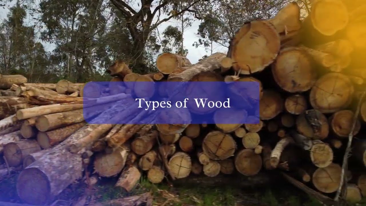 Best wood for Outdoor Gazebo (Video Guide)