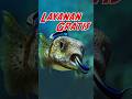 Ikan Dokter Siap Melayani Sepenuh Hati
