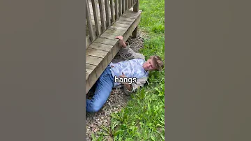 Trying To Find A Missing Cat 
