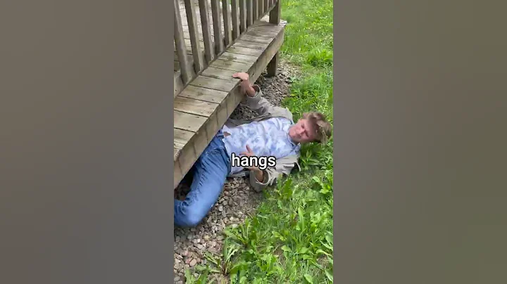 Trying To Find A Missing Cat!