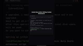 Writing Custom Burp Suite Extensions