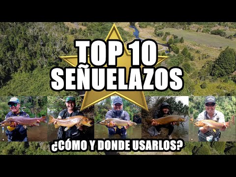 Video: Los 7 mejores señuelos de leucomas de 2022