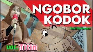 NGOBOR KODOK  COVER TITIN  ( AMIN HERMAWAN )  #dangdut  #tarlingcirebonan  #ngoborkodok  RVOICE