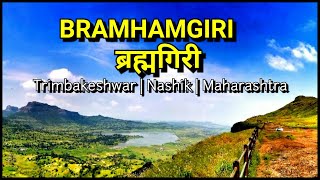 BRAHMAGIRI HILL Trekking|ब्रह्मगिरी पर्वत|Bhandardurg| Durg bhandar|Trimbakeshwar|Nasik|Maharashtra