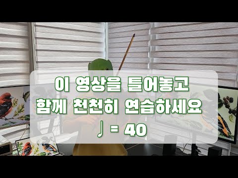 예쁜 새 느리게 40 | 스즈키 바이올린 1권 3번 | Song of the Wind Slow 40 | Suzuki Violin Vol.1 no.3