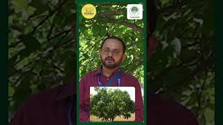 Ground Report from Village | Farmers’ Success Story
