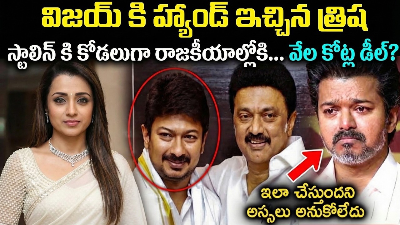 విజయ్ ని బకరాని చేసిన త్రిష | స్టాలిన్ కి కోడలిగా రాజకీయాల్లోకి | వేల కోట్ల డీల్ ? #trisha #viral