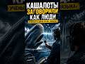 Кашалоты заговорили как люди — учёные в шоке от их «языка»#кашалоты #киты #океан #животные #язык
