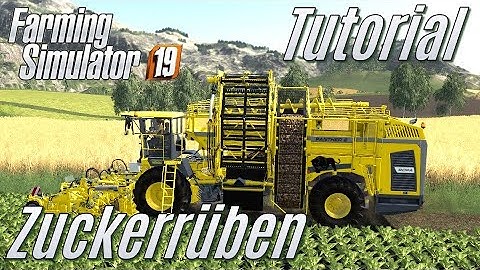 LS19: Tutorial: Zuckerrüben - für Einsteiger