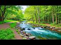 Soothing, relaxing music reduces stress and stops thinking too much